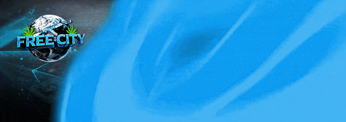 Free City connection banner