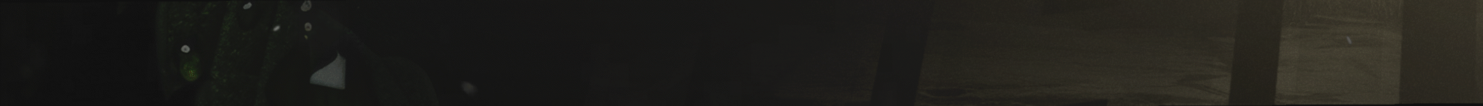 Narcos RP banner
