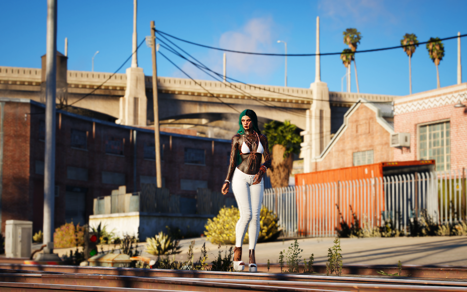 Q-7 train tracks