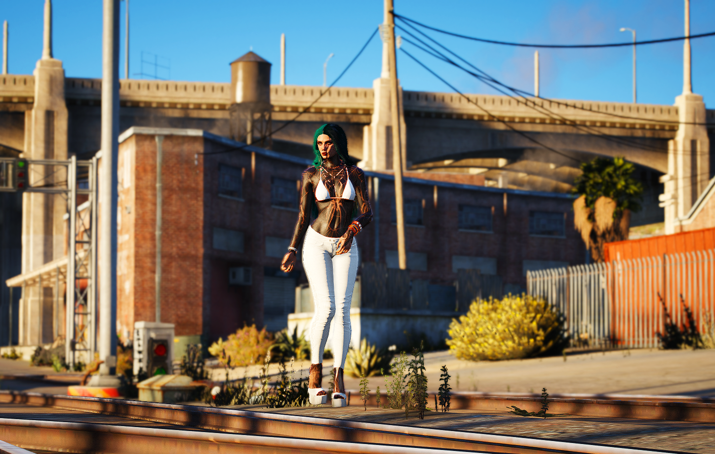 Q-9 train tracks