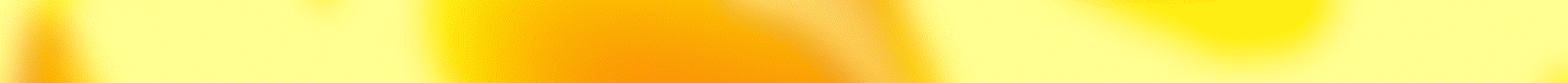Ciudad Monarca banner