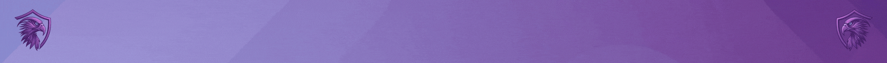 LRZ banner