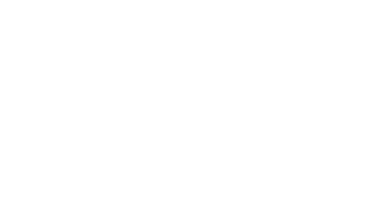 LOGO SOLO AECAUM