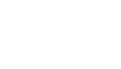 QB Andina
