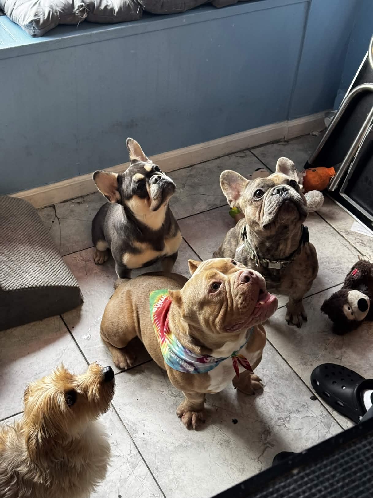 Beautiful groom result