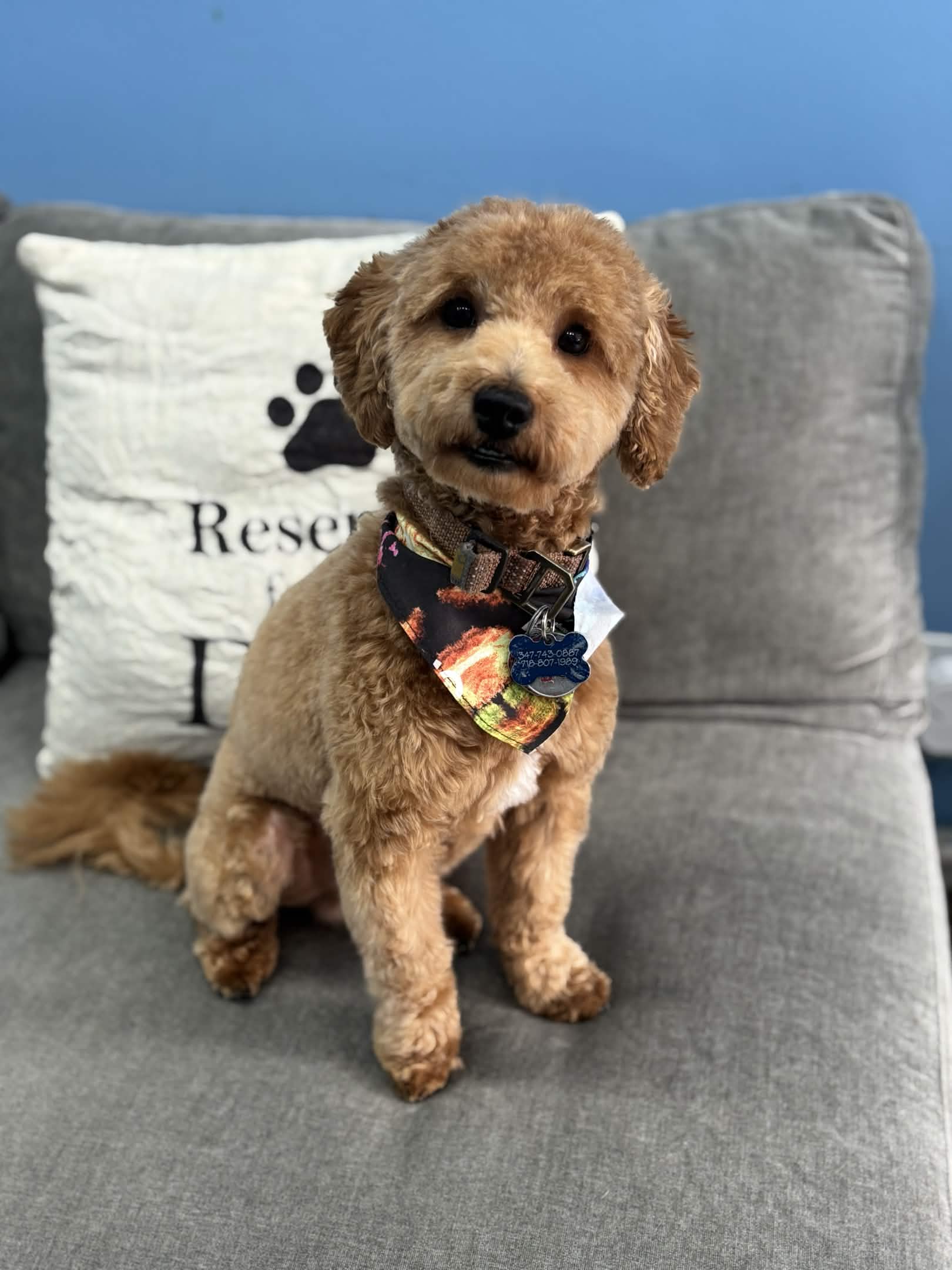 Grooming transformation