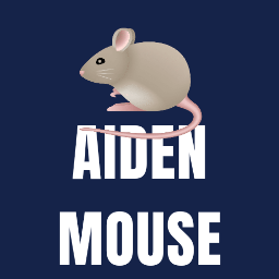 Aiden Mouse