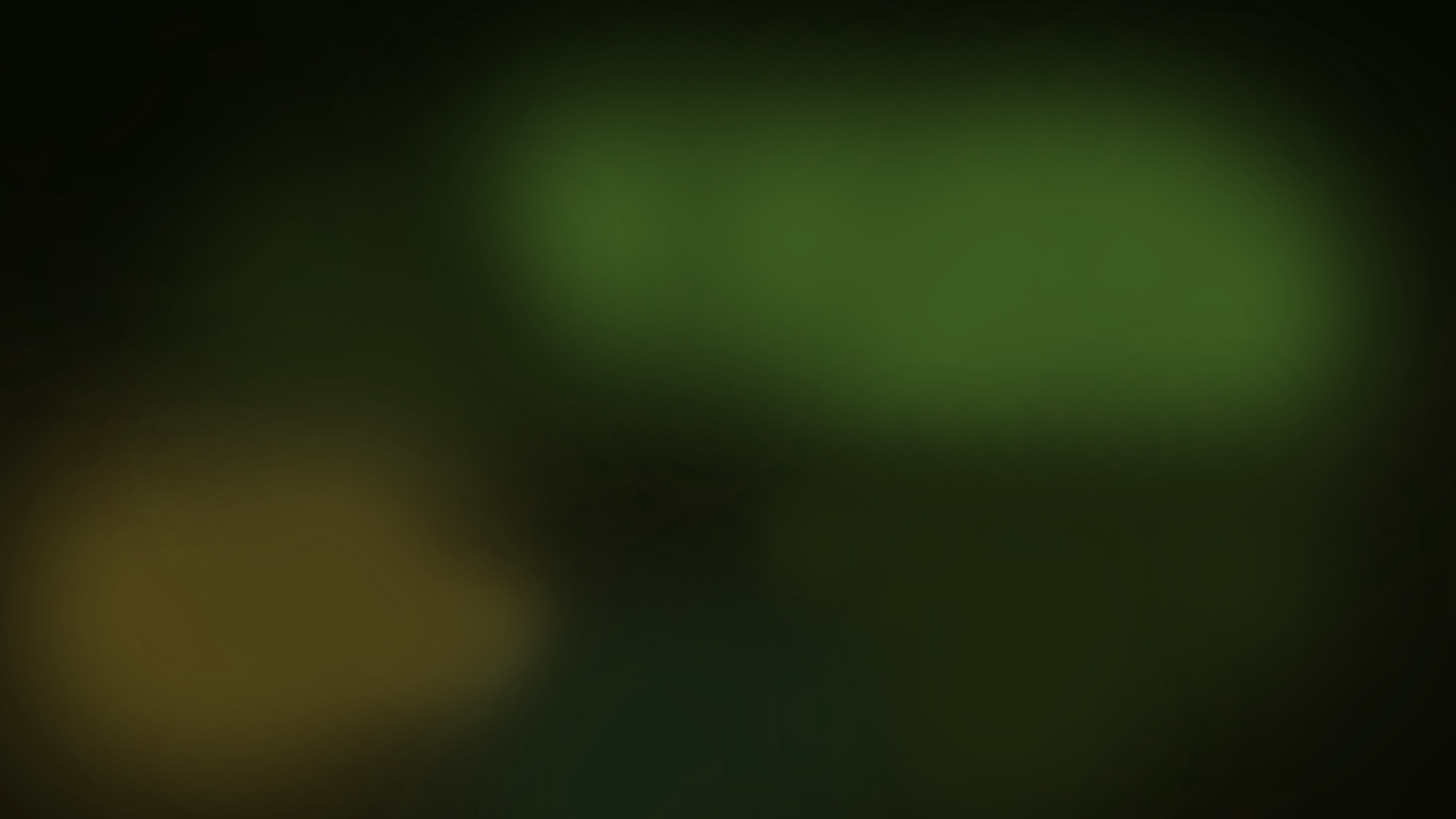 Banner 1