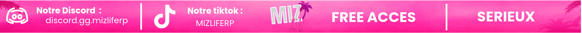 Mizlife RP Banner