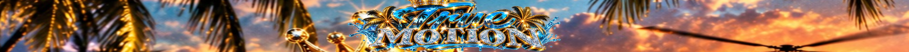 Server details True Motion RP