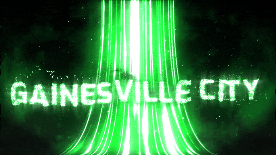 Gainesville City Rp