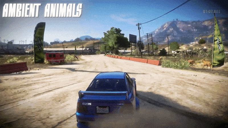 Animals scatter