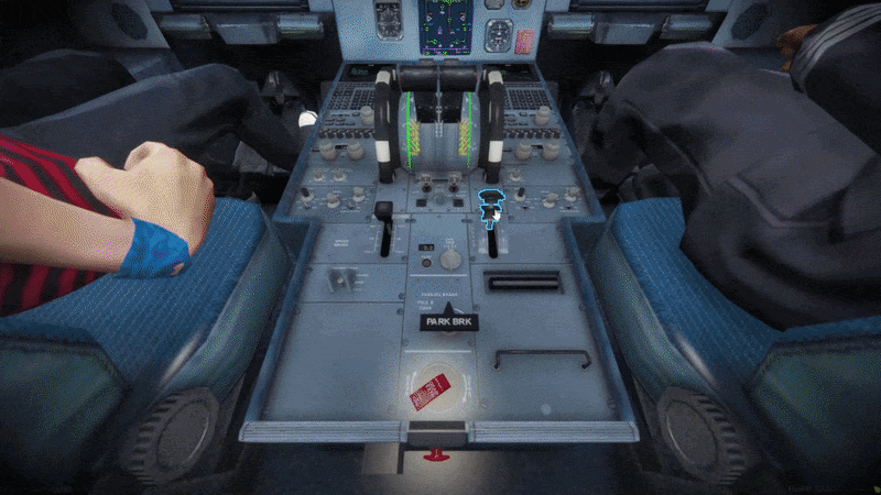 Flap physics