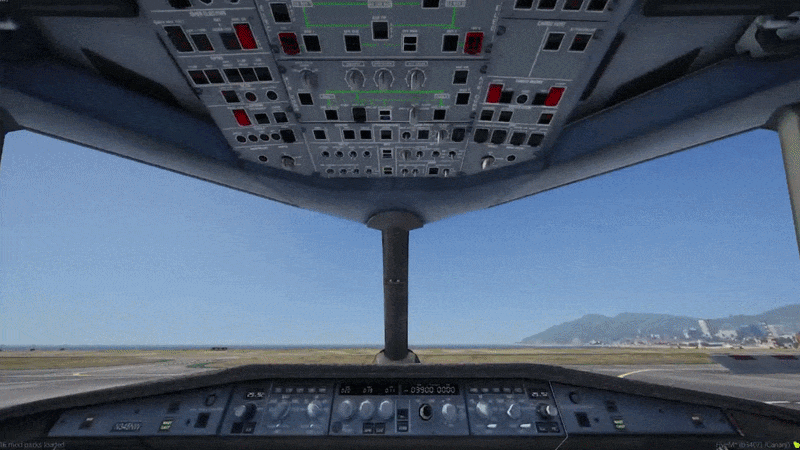 Cockpit cameras