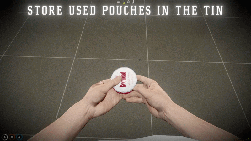 Pouch storage