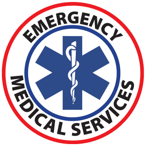 Logo L.S.M.C