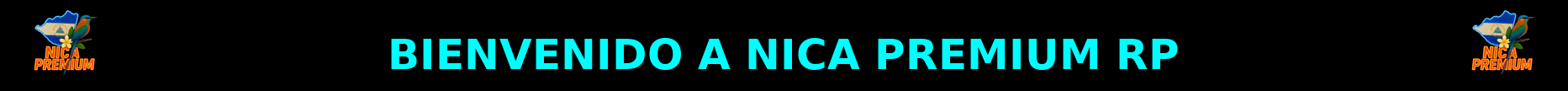 NICA PREMIUM RP