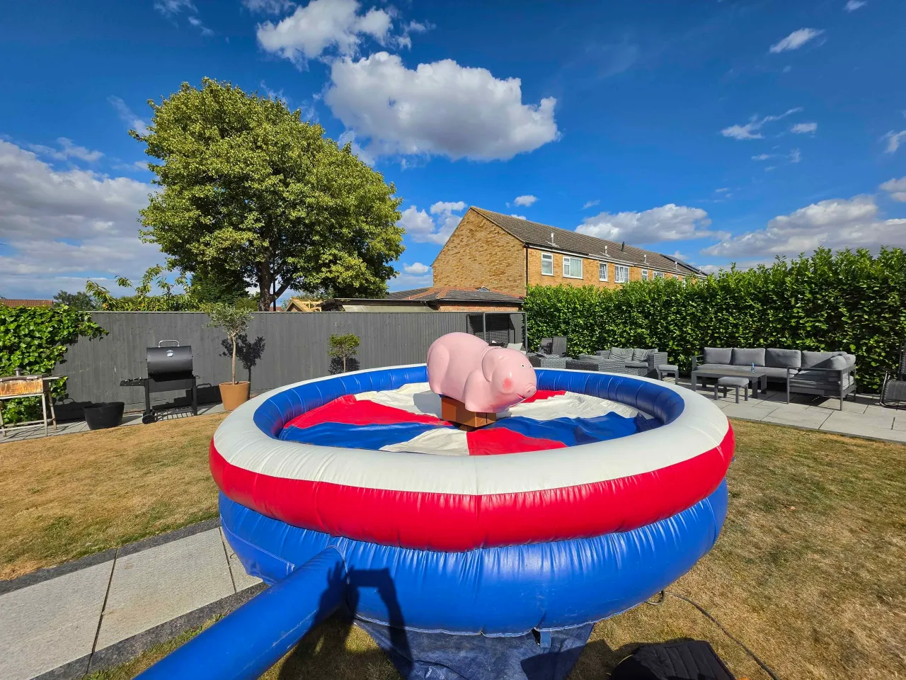Rodeo Pig Hire