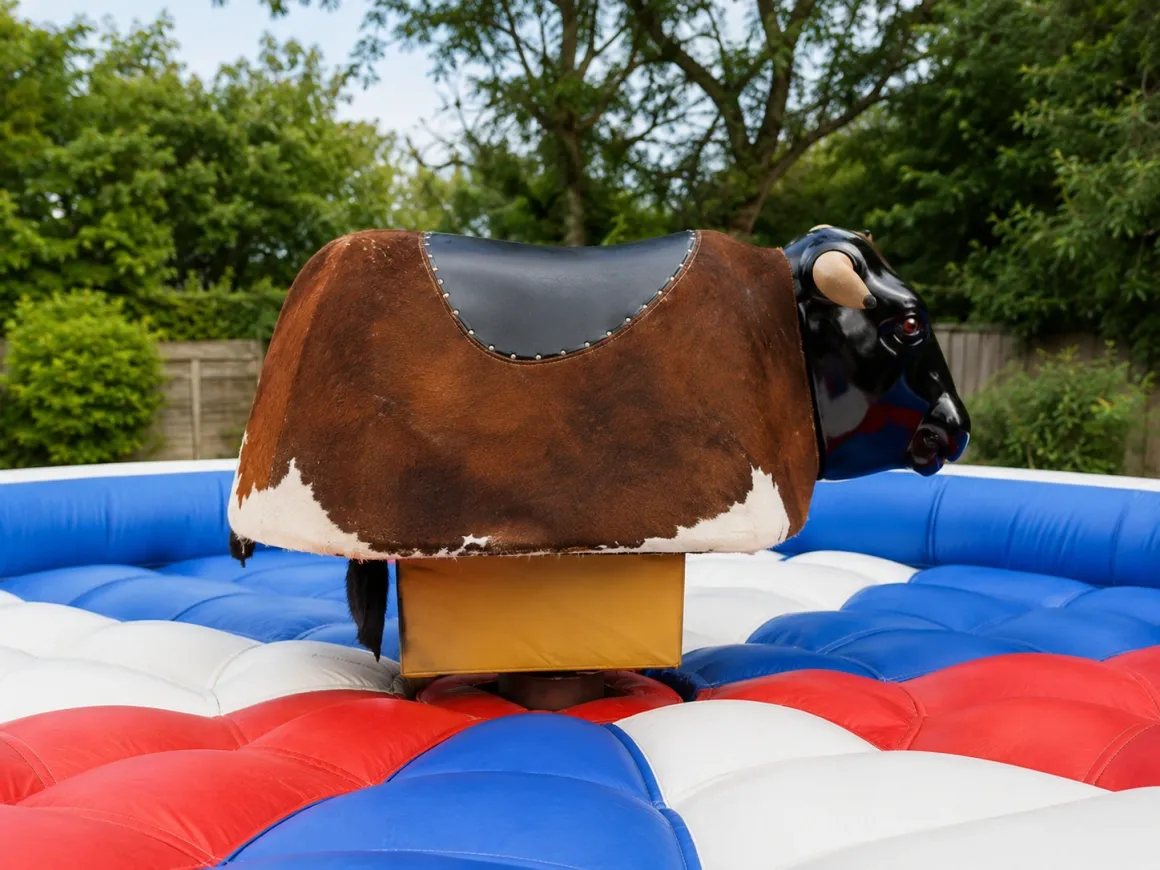 Rodeo Bull Hire