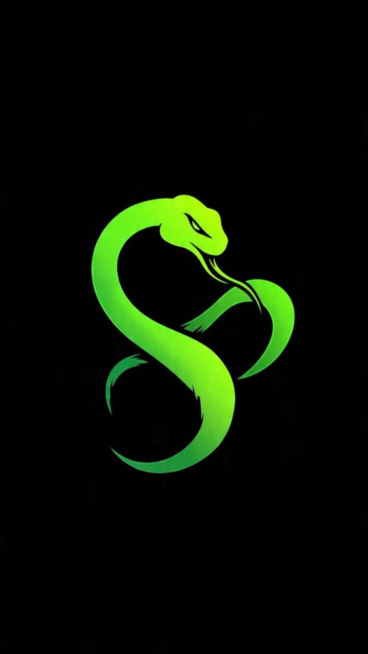 Logo home8 Server Asia