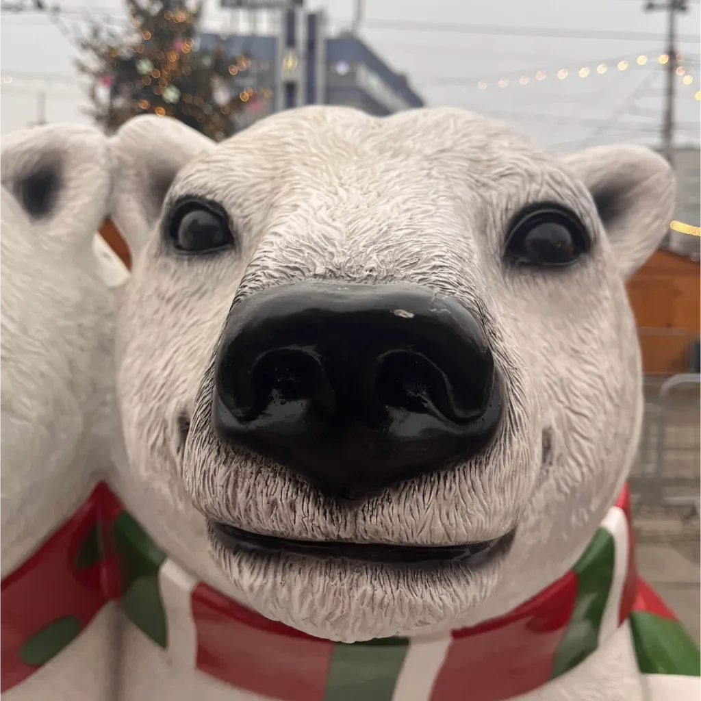 Cryvie, FiveM Server Owner