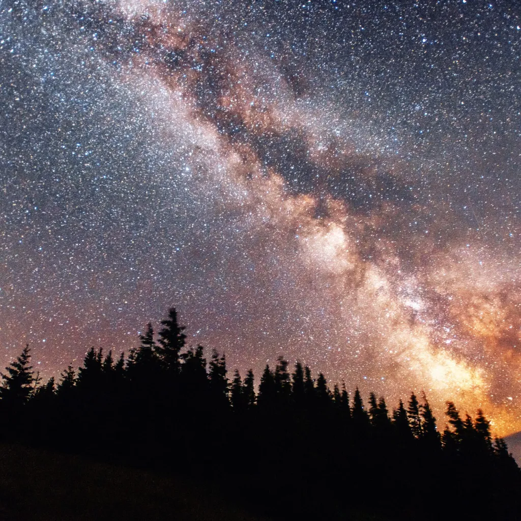 TeeLee, Server Owner & Entrepreneur