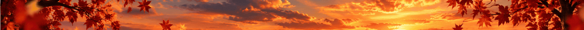Second Home Banner