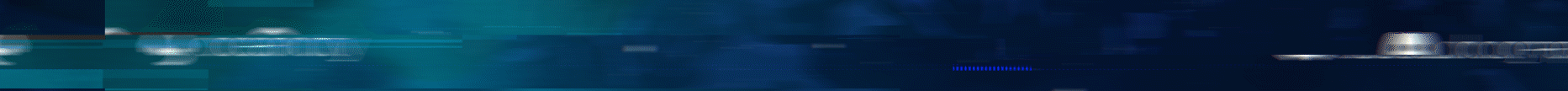 OceanCity Banner