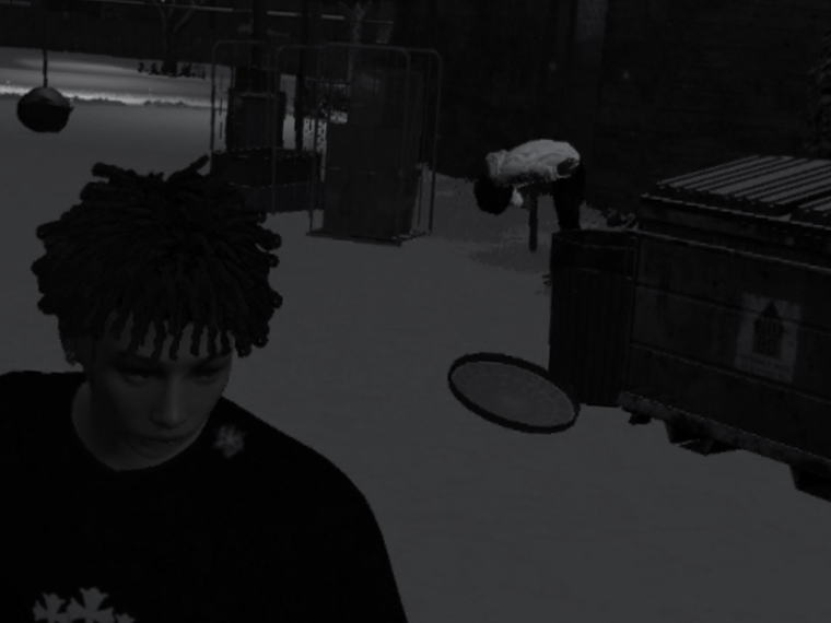S/S 2 — capture 3