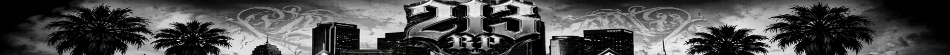 213 RP banner