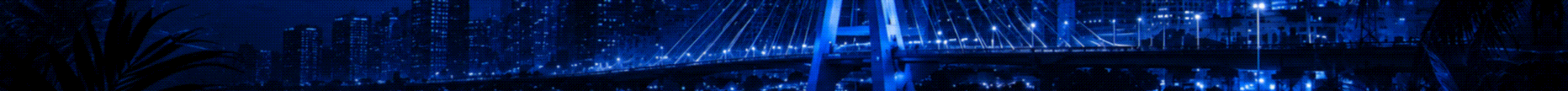 CONEXÃO PAULISTA RP banner