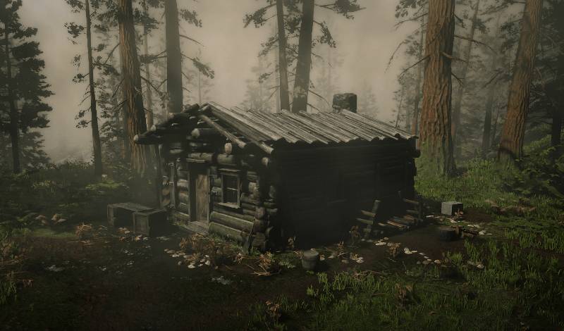 Tall Trees Cabin 2