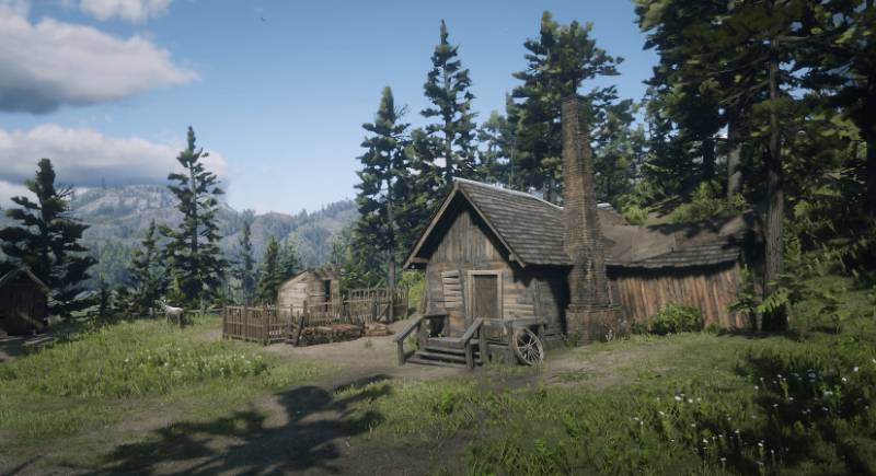 Little Creek Homestead