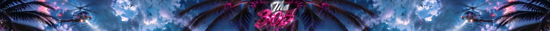 The 305 ➦ NEW SERVER WITH STARTER PACK banner